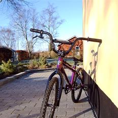 Redline Proline expert XL