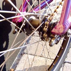 Redline Proline expert XL 