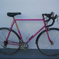 Nishiki Triathlon