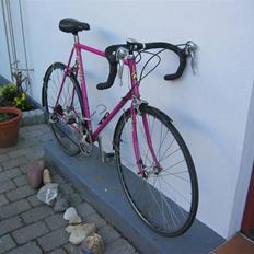 Nishiki Triathlon