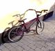Redline Proline expert XL 