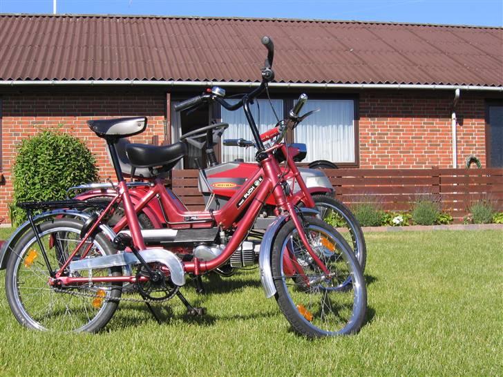 Retro Mini camping cykel billede 5