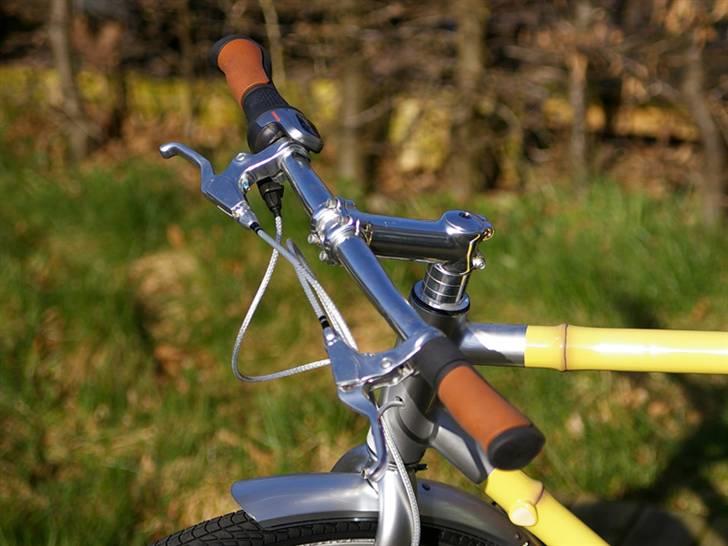 Viva Bamboo (Håndmalet) billede 7