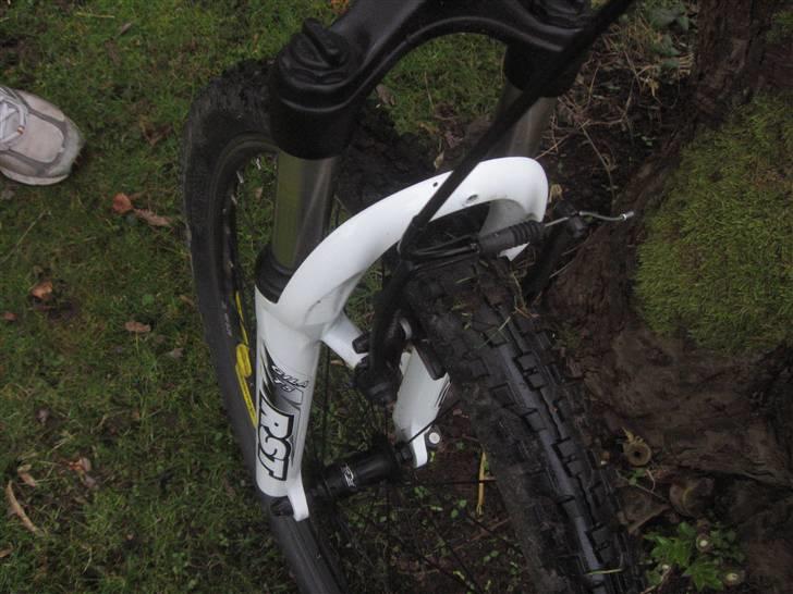 Felt Q650 billede 6