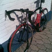 Esperia Pro Racing, 5600