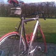 Esperia Pro Racing, 5600