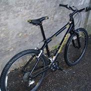 Cannondale CAAD3 M900