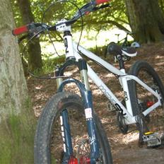 NS Bikes suburban