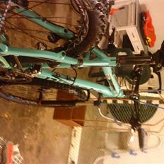 Bianchi doss 6600