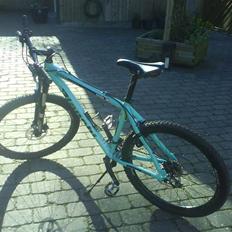 Bianchi doss 6600