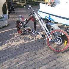 Schwinn stingray