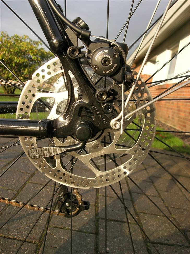 Trek 7.3 FX Disc - Bremseskive bag billede 10