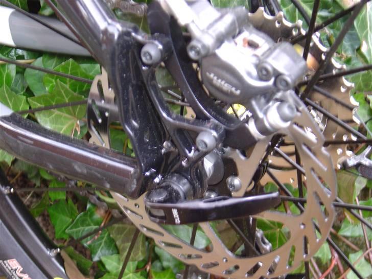 Radon ZR Race 7,0 "Team Edition billede 5