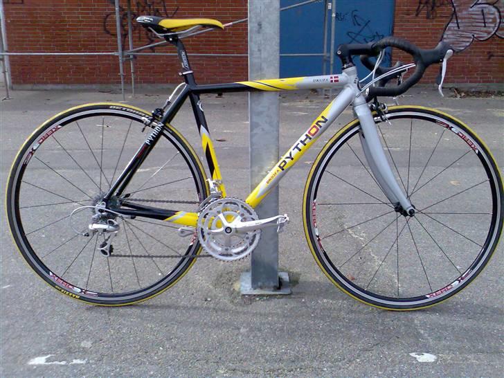 Python DK03FA billede 1