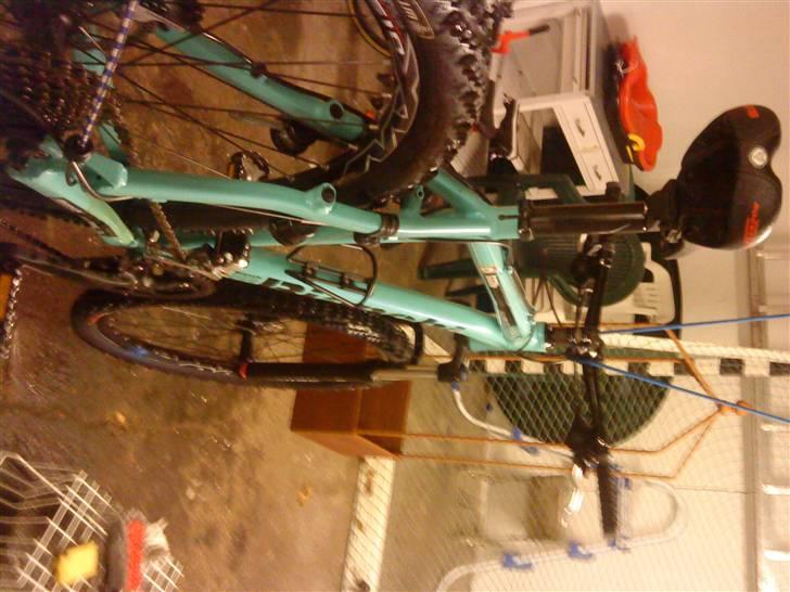 Bianchi doss 6600 billede 1