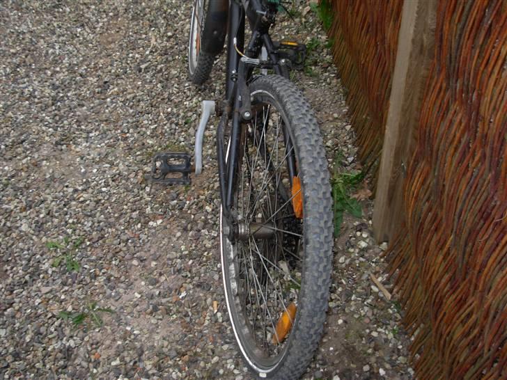 Rocky Strada  billede 4