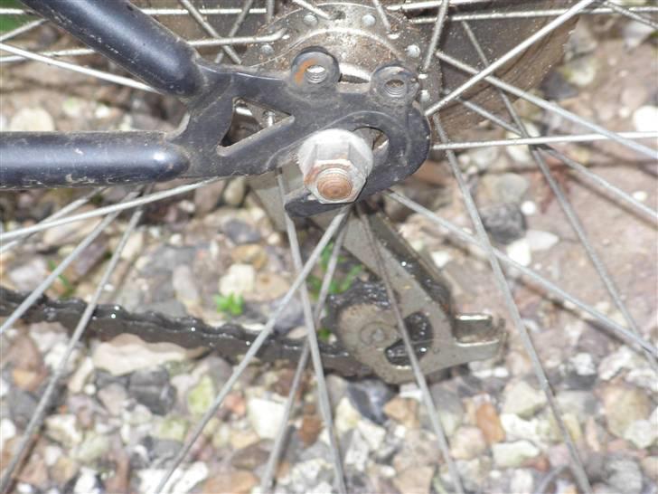 Rocky Strada  billede 5