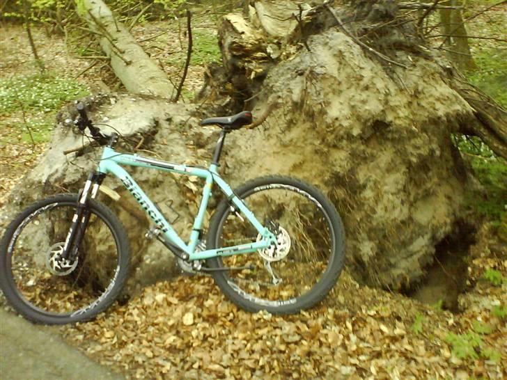 Bianchi doss 6600 billede 5