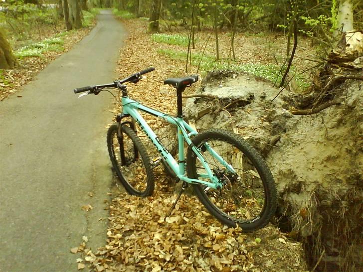 Bianchi doss 6600 billede 6