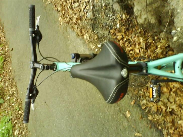 Bianchi doss 6600 billede 7