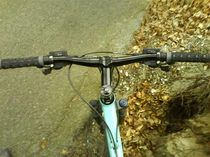 Bianchi doss 6600 billede 8