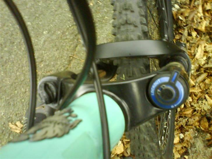 Bianchi doss 6600 billede 9