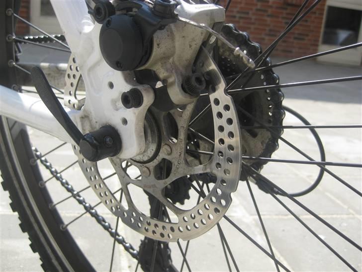 Kildemoes Edge billede 4