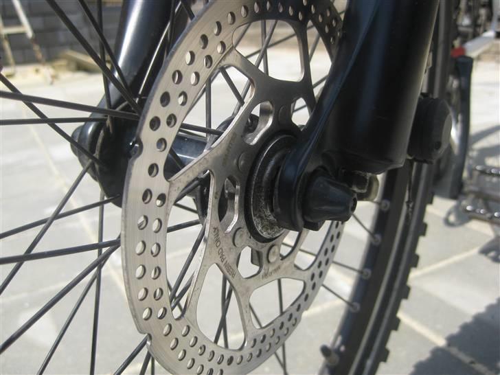 Kildemoes Edge billede 9