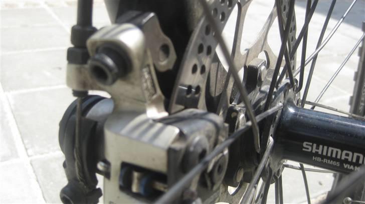 Kildemoes Edge billede 13