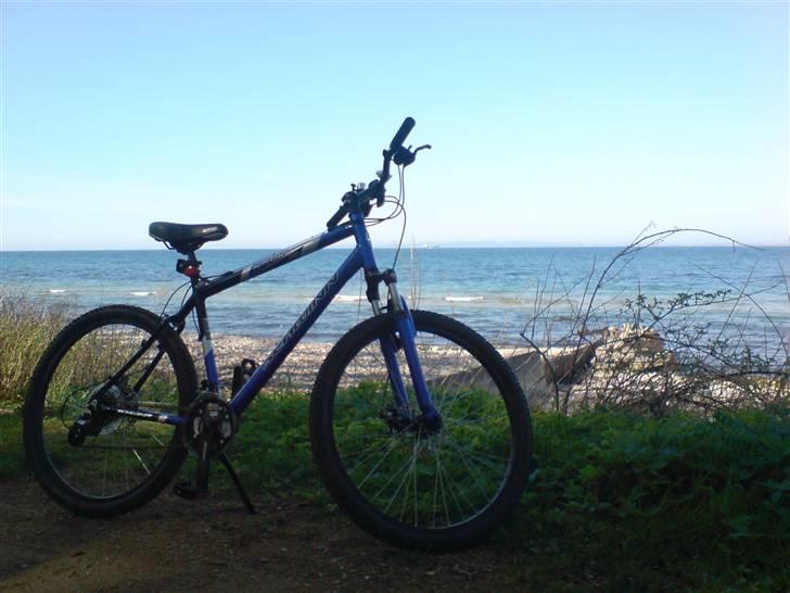 Schwinn Frontier GSD billede 14