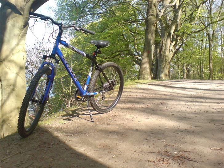 Schwinn Frontier GSD billede 15