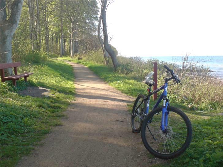 Schwinn Frontier GSD billede 16