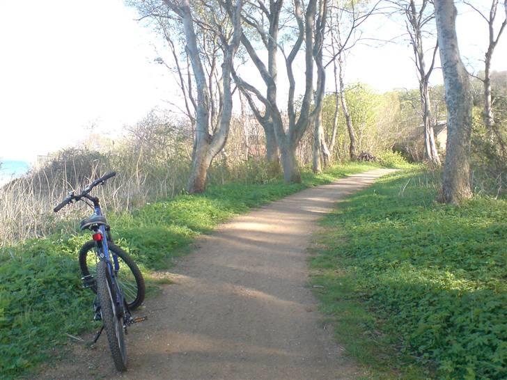 Schwinn Frontier GSD billede 17