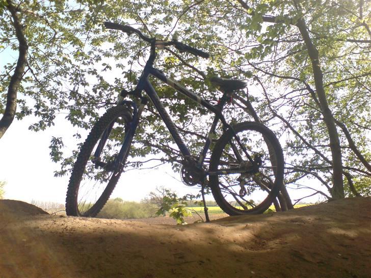 Schwinn Frontier GSD billede 18