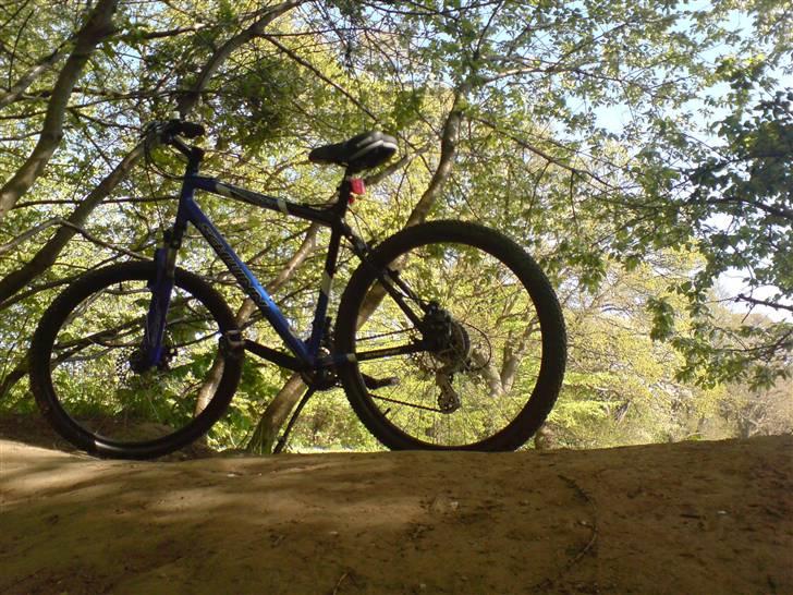 Schwinn Frontier GSD billede 19