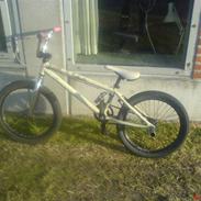 Mirraco icon moto