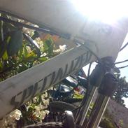 Specialized P3