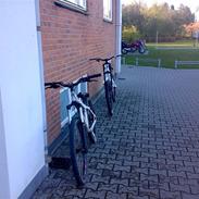 Specialized P3