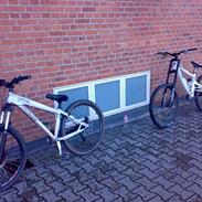 Specialized P3