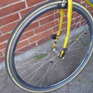 Bianchi Campione del mondo