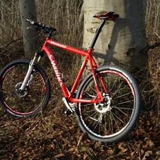 Specialized S-Works HT M5-XX