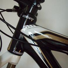 Scott scale 30 08`