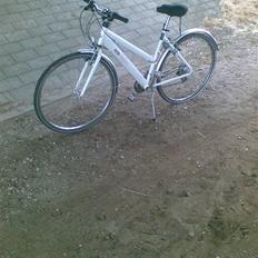 SCO Comfort