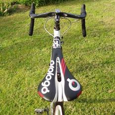 Focus Focus Cayo pro