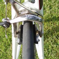 Focus Focus Cayo pro