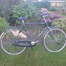 Panther Pointer Classica