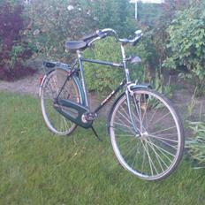 Panther Pointer Classica