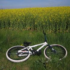 KHEBikes plasm solgt
