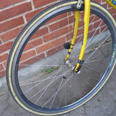 Bianchi Campione del mondo