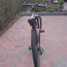 Mustang Avalanche offroad series